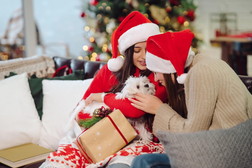 1 in 5 Brits will spend more on their pets' Christmas presents than their partners' gifts this year