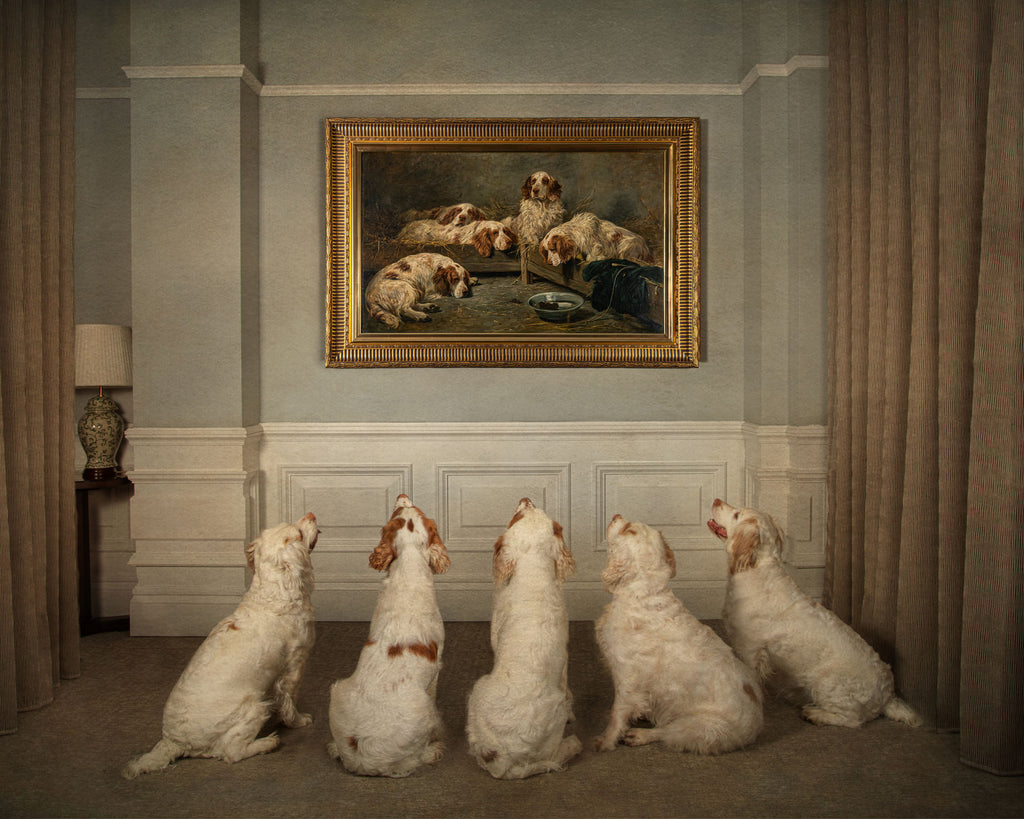 Spaniels star in new dog photography exhibition at Kennel Club art gallery