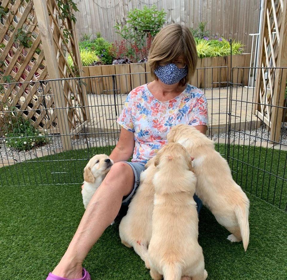 WATCH: adorable Guide Dogs puppies get used to face masks