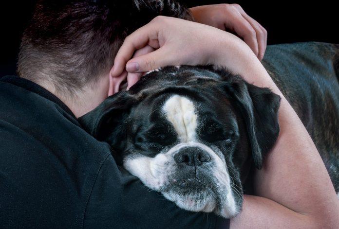 Mental Health Awareness Week: the importance of pets