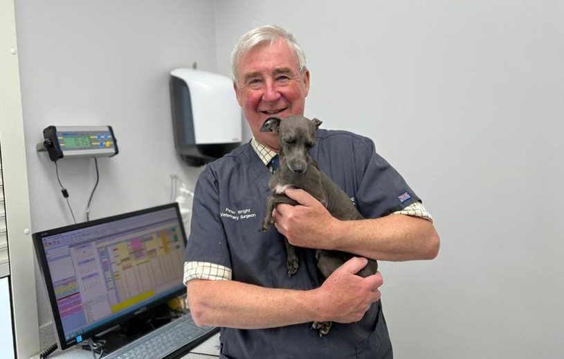 Yorkshire Vet Peter Wright reveals his most common Christmas callouts