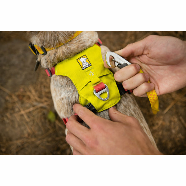 Ruffwear Hi Light Harness