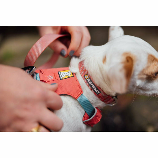 Ruffwear Hi Light Harness