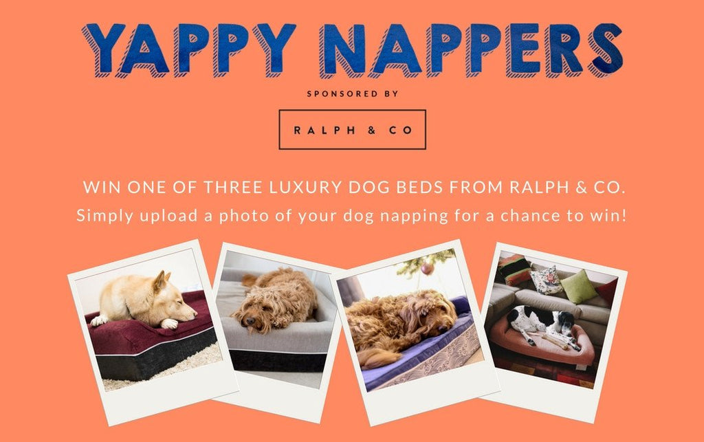 Yappy Nappers Photo Competition - 1/3/17- 31/3/17