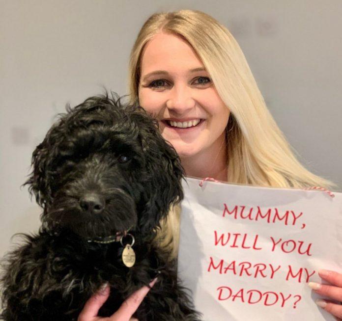 Pupping the question: how a pup helped his dad propose
