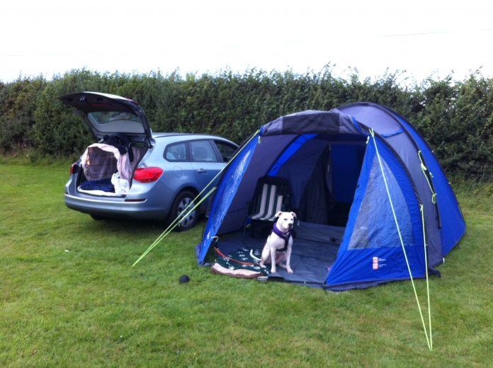 Tips for camping with dogs