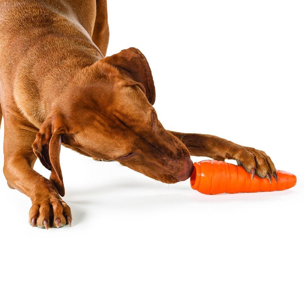 #WINITWEDNESDAY - Win a Planet Dog Orbee-Tuff Carrot Dog Toy!