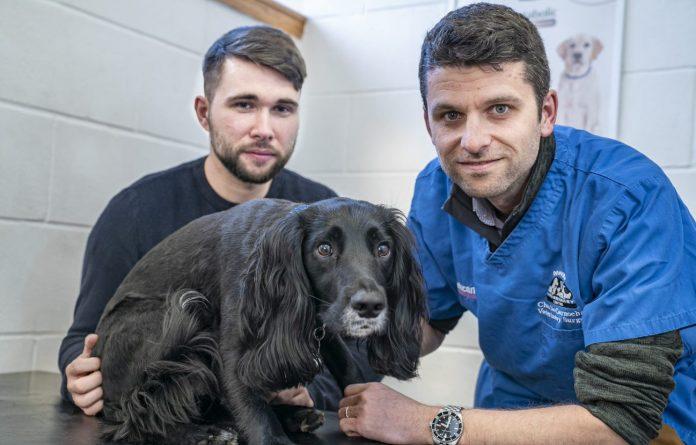 Vet Issues Warning To Keep Human Medication Out Reach After Dog Gobbles Down Painkillers