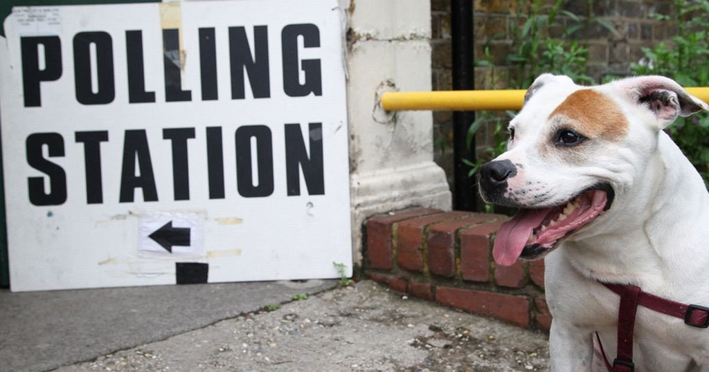 #Dogsatpollingstations