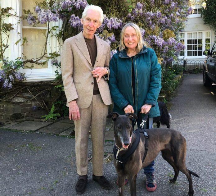 Lucky greyhound finds home with Rolling Stones drummer Charlie Watts