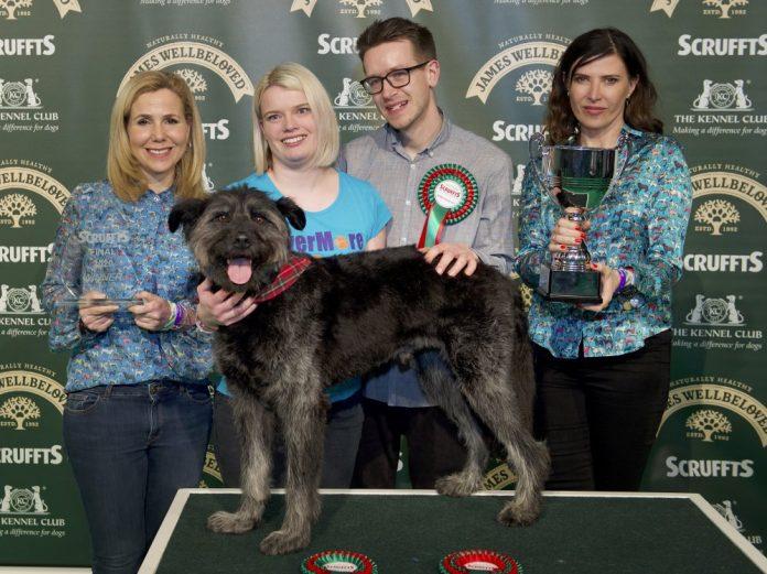 A loveable crossbreed from Newark, Nottinghamshire, was crowned Scruffts Family Crossbreed of the Year last Saturday (7 March) at Crufts before the eyes of his proud owners, Hannah and Stephen Hayes.