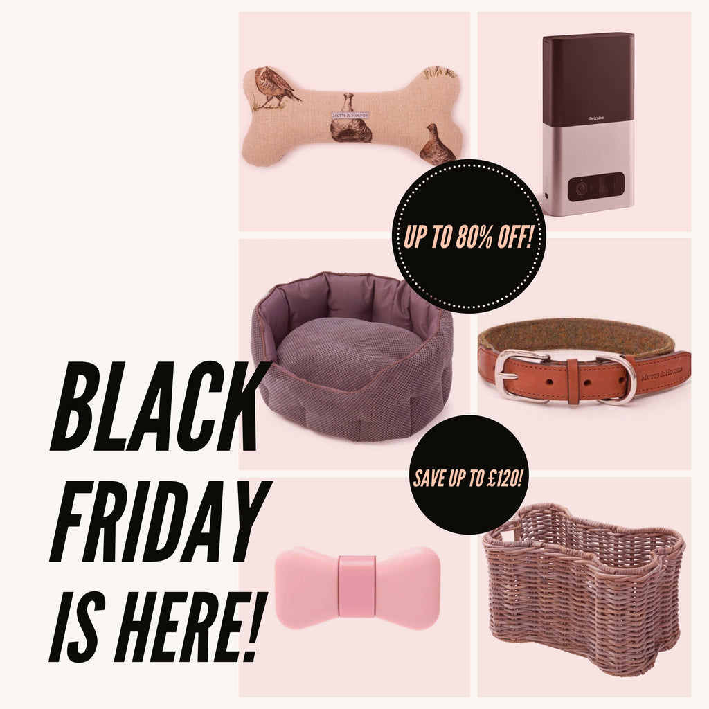 Black Friday is here at PurrfectlyYappy!
