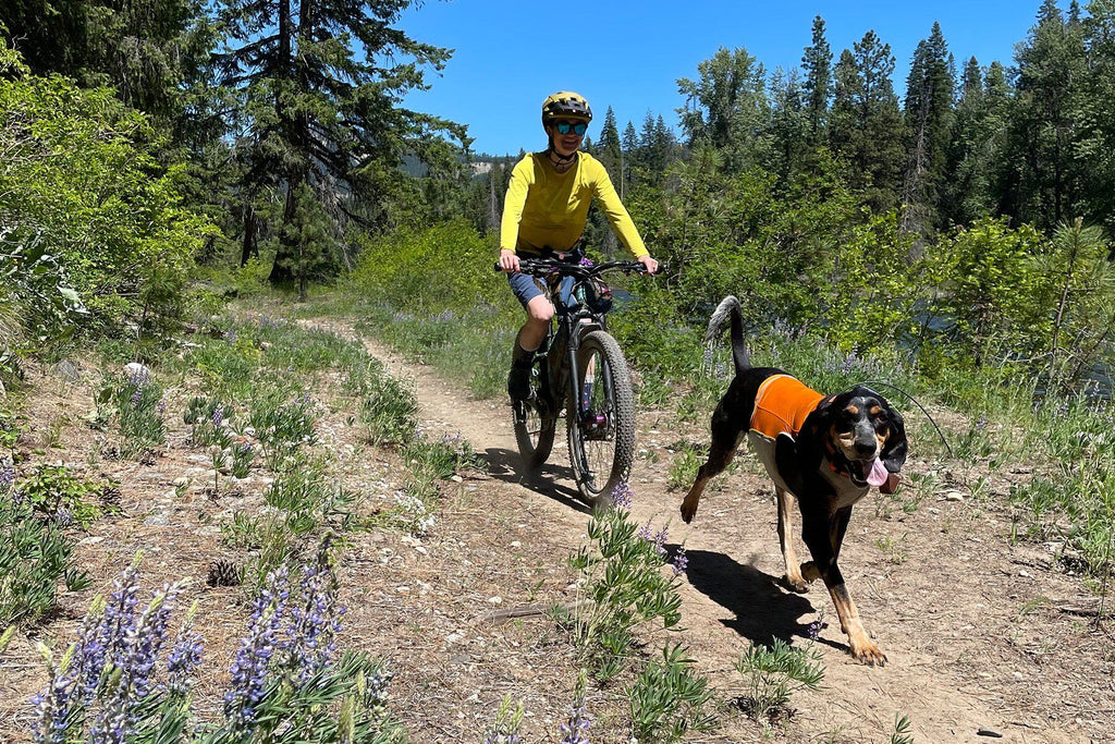 Five Tips for Mountain Biking With Your Dog