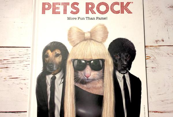 #SUMMERREADS - WIN a copy of Pets Rock - 07/07/2017