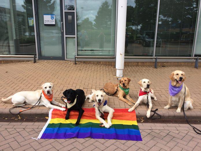 Pride Dogs for Guide Dogs: take part to the virtual dog show!