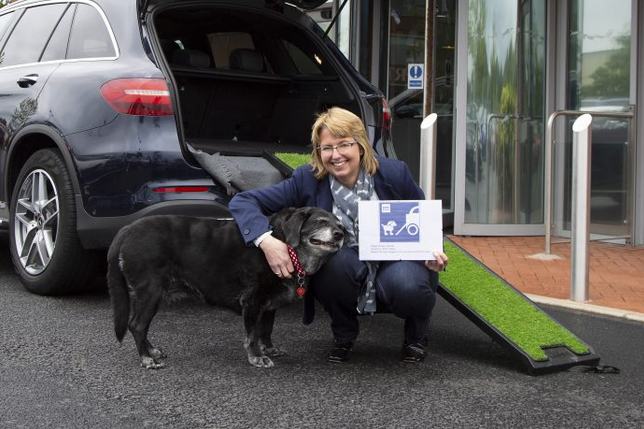 Pets at Home offers Blue Badges for disabled dogs at head office