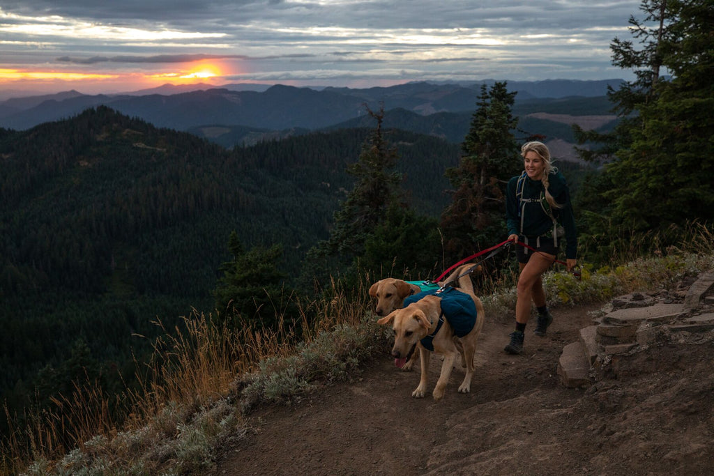 How to hike with your dog