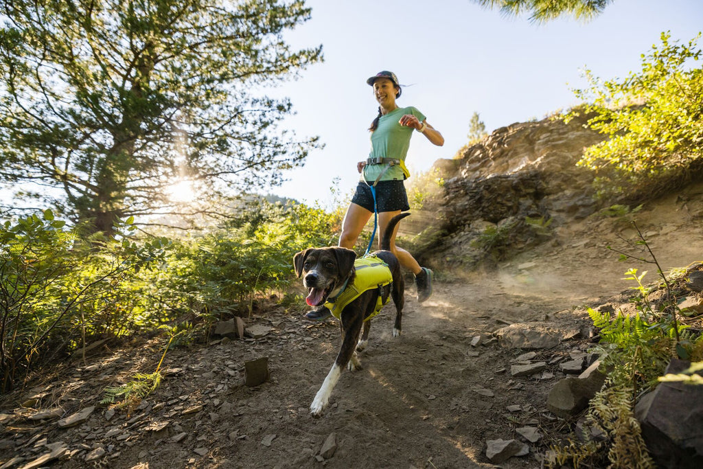 Outdoor dog specialists share their top three tips for running with your dog