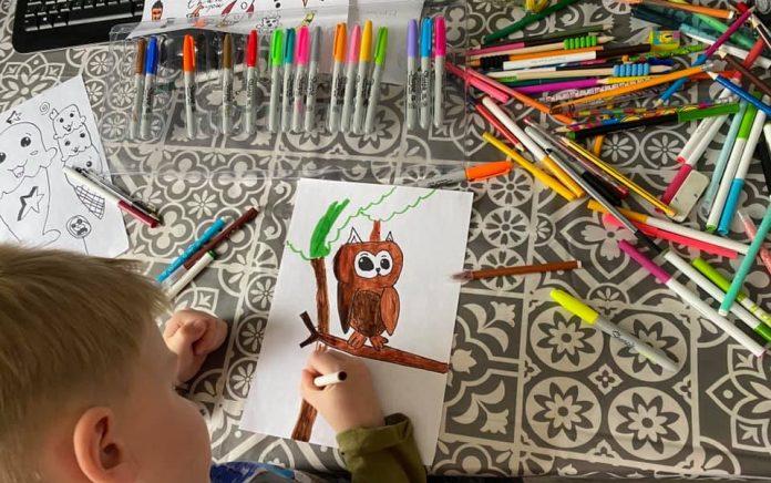 Eight year old boy’s art raises funds for local rescue