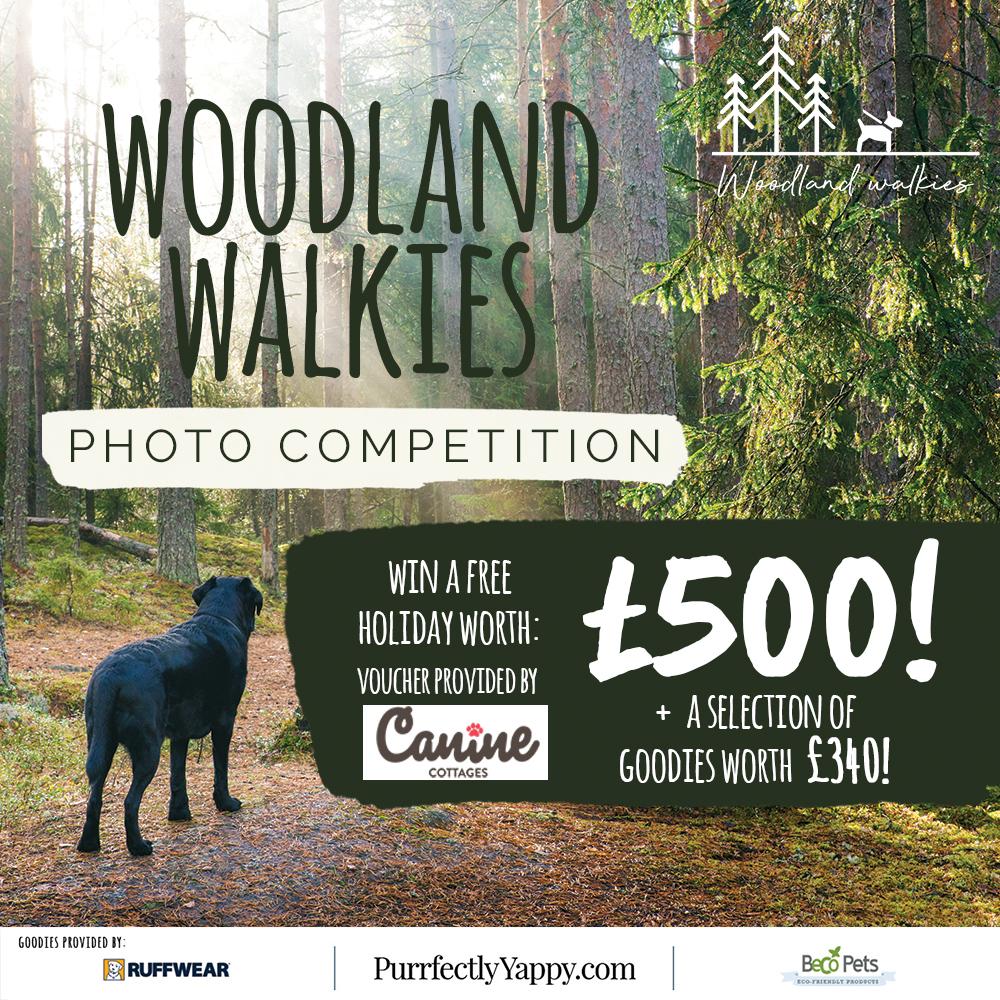 The Woodland Walkies Photo Competition is finally here!