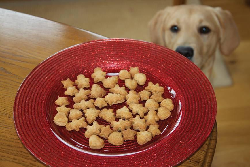 How To Make Christmas Ginger Biscuits for Your Dog