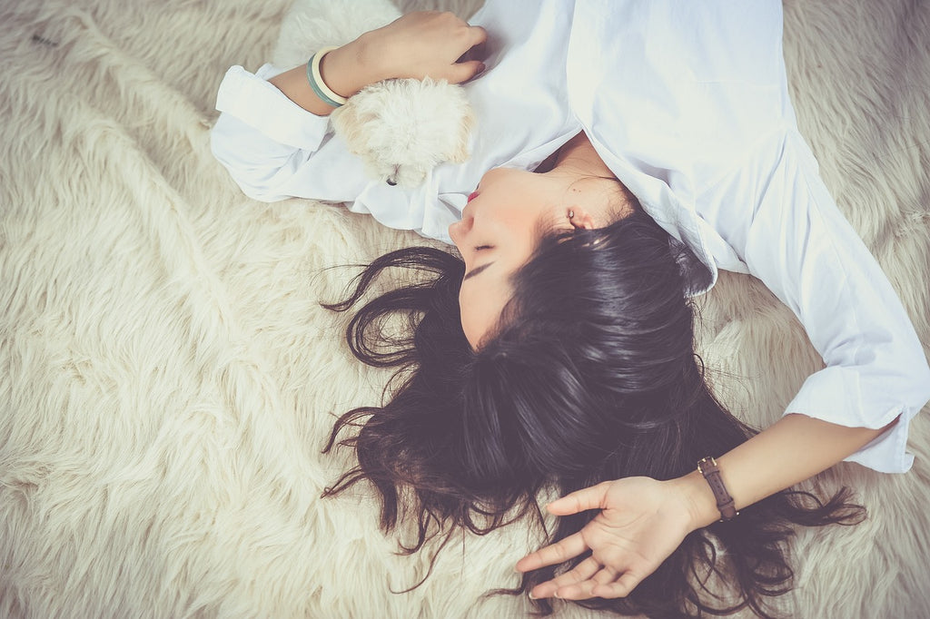 Top Six Dos and Don'ts of Sleeping with your Dog