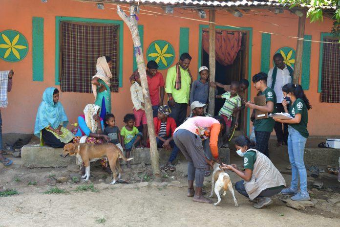 Meet the vets tackling rabies door to door in India