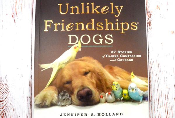 #WINITWEDNESDAY - WIN a copy of Unlikely Friendships by Jennifer S. Holland - 5/10/16