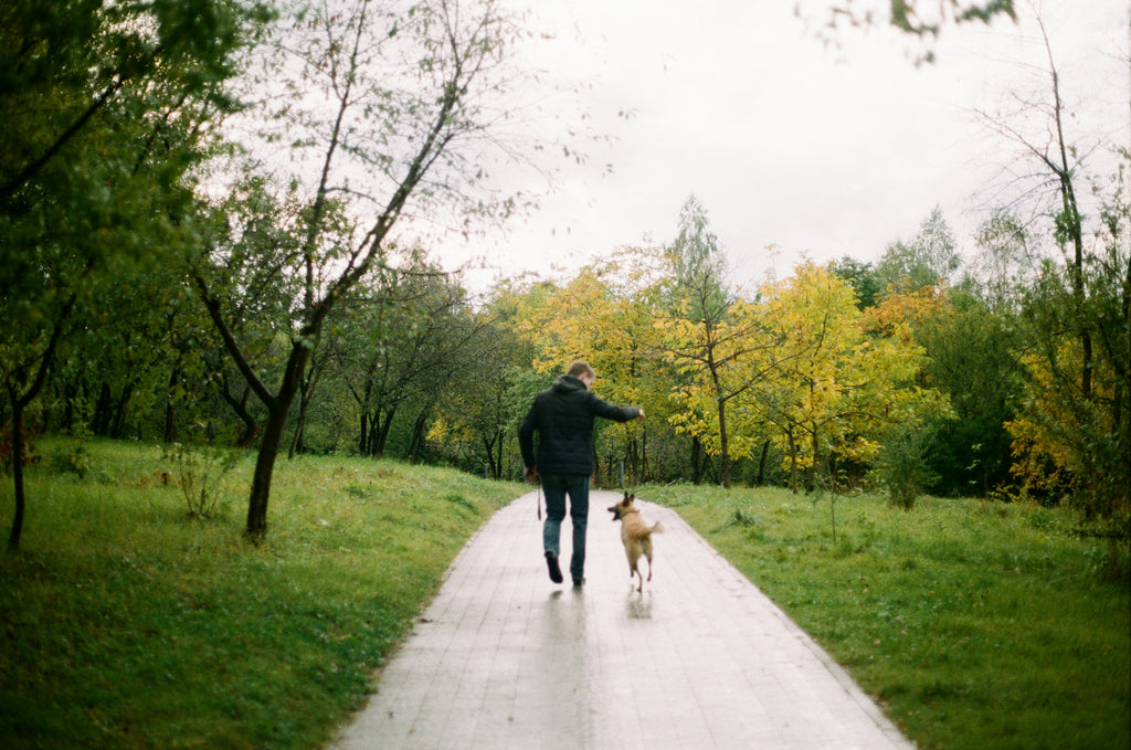 Four tips to improve your dog walks