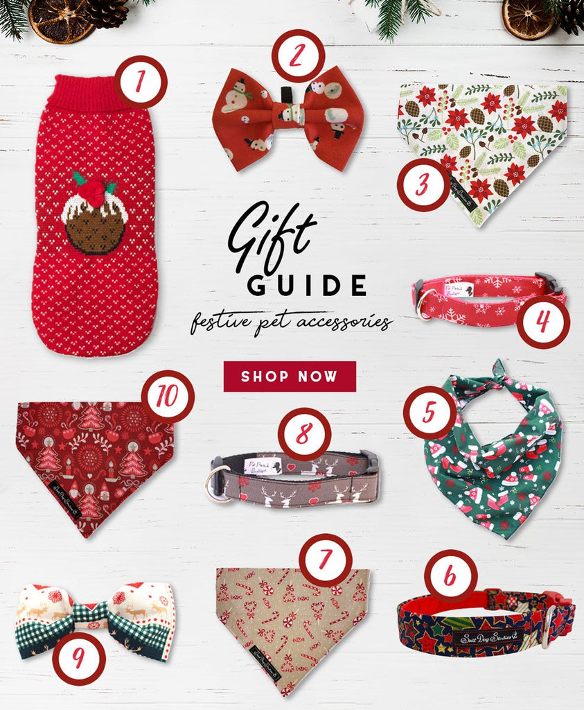 The ULTIMATE Dog Accessory Gift Guide You Never Knew You Needed!