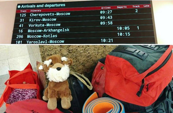 A toy puppy is travelling the world to help stray dogs!