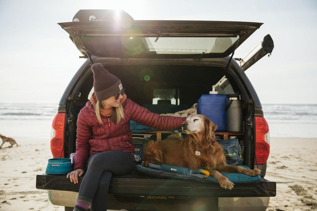 Eight tips for road-tripping with your dog this Spring