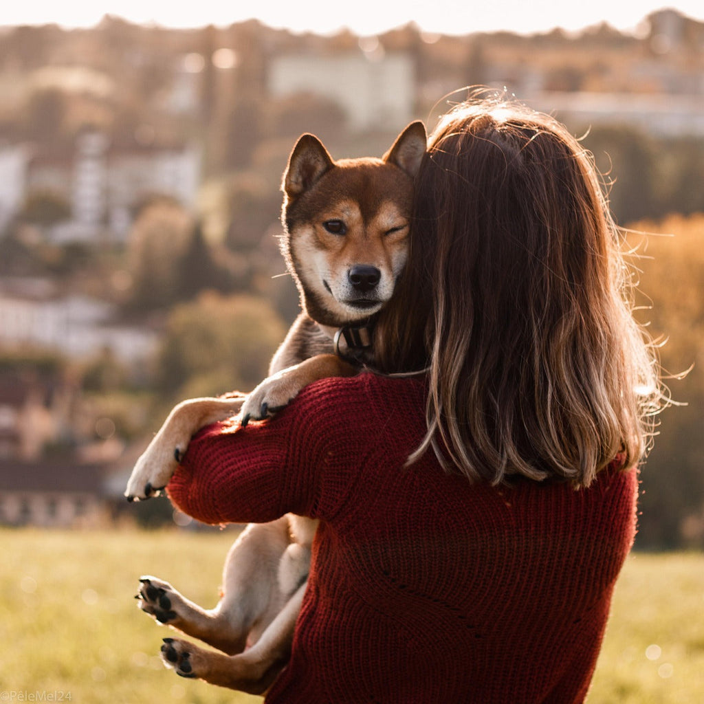 Man’s Best Friend: Six benefits of dog ownership