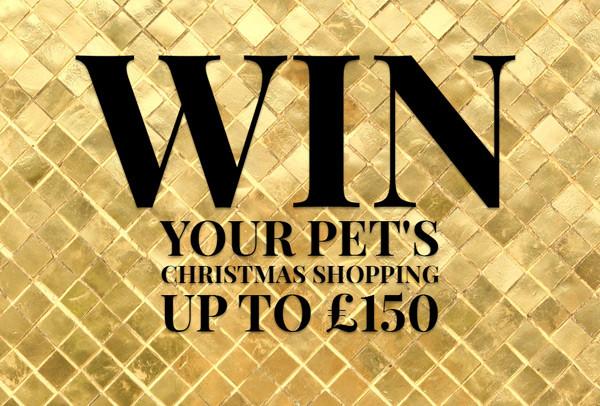 WIN a £150 Christmas Shop - 08/11/2016 - 09/12/2016
