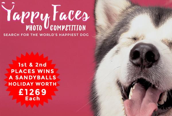 Yappy Faces Photo Competition - 10/06/2016 - 11/07/2016
