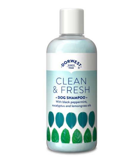 Dorwest Herbs Clean & Fresh Shampoo