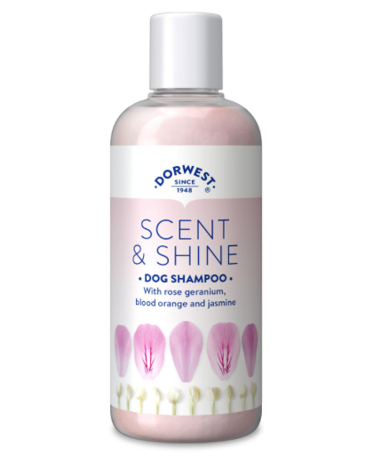 Dorwest Herbs Scent & Shine Shampoo for Dogs - 250ml