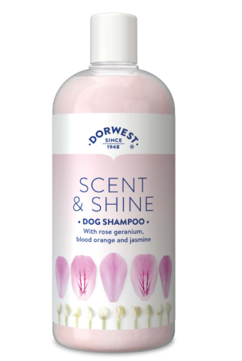Dorwest Herbs Scent & Shine Shampoo for Dogs - 250ml