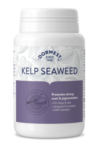 Dorwest Kelp Seaweed Tablets For Dogs And Cats