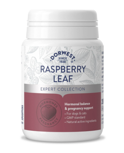 Dorwest Raspberry Leaf Tablets for Dogs and Cats