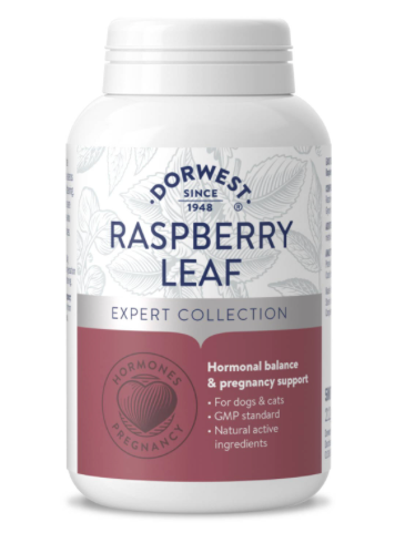 Dorwest Raspberry Leaf Tablets for Dogs and Cats