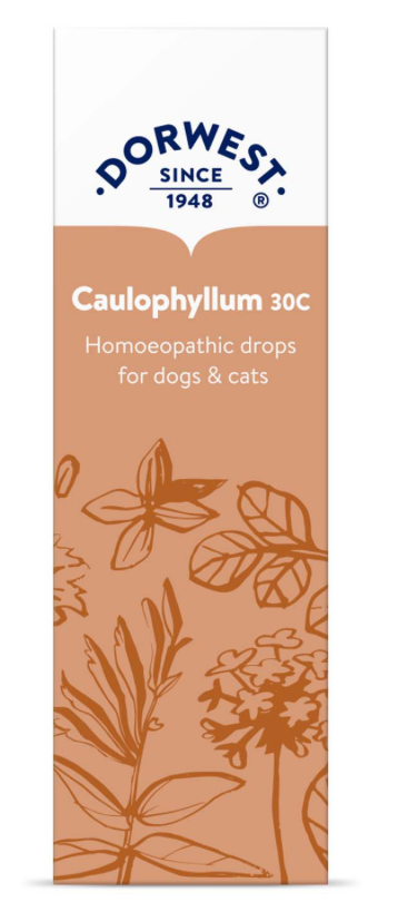 Dorwest Caulophyllum 30C - 15ml Liquid