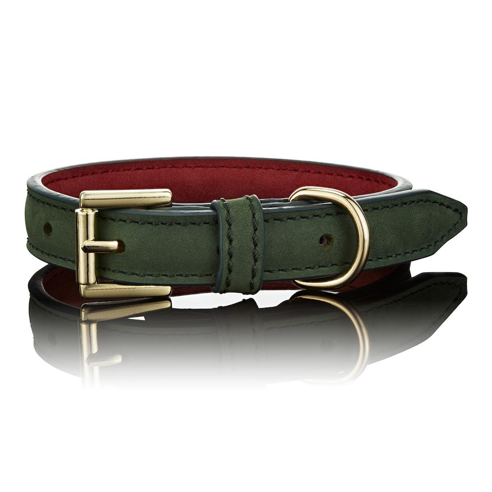 Paws With Opulence Leather Dog Collar - Luxe Green