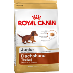 Royal Canin Junior Dachshund - 1.5kg - PurrfectlyYappy