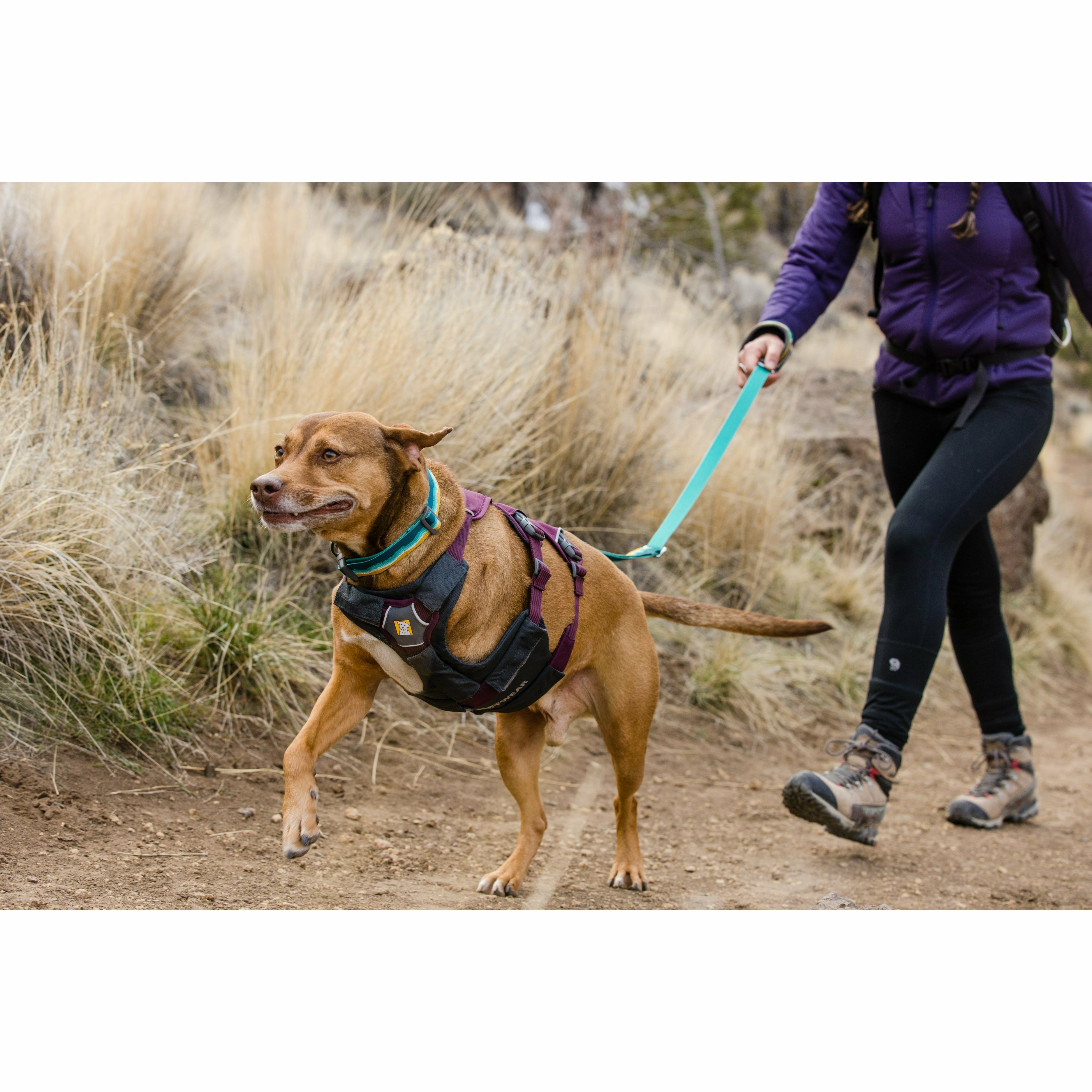 Ruffwear Web Master Harness New Design 2022