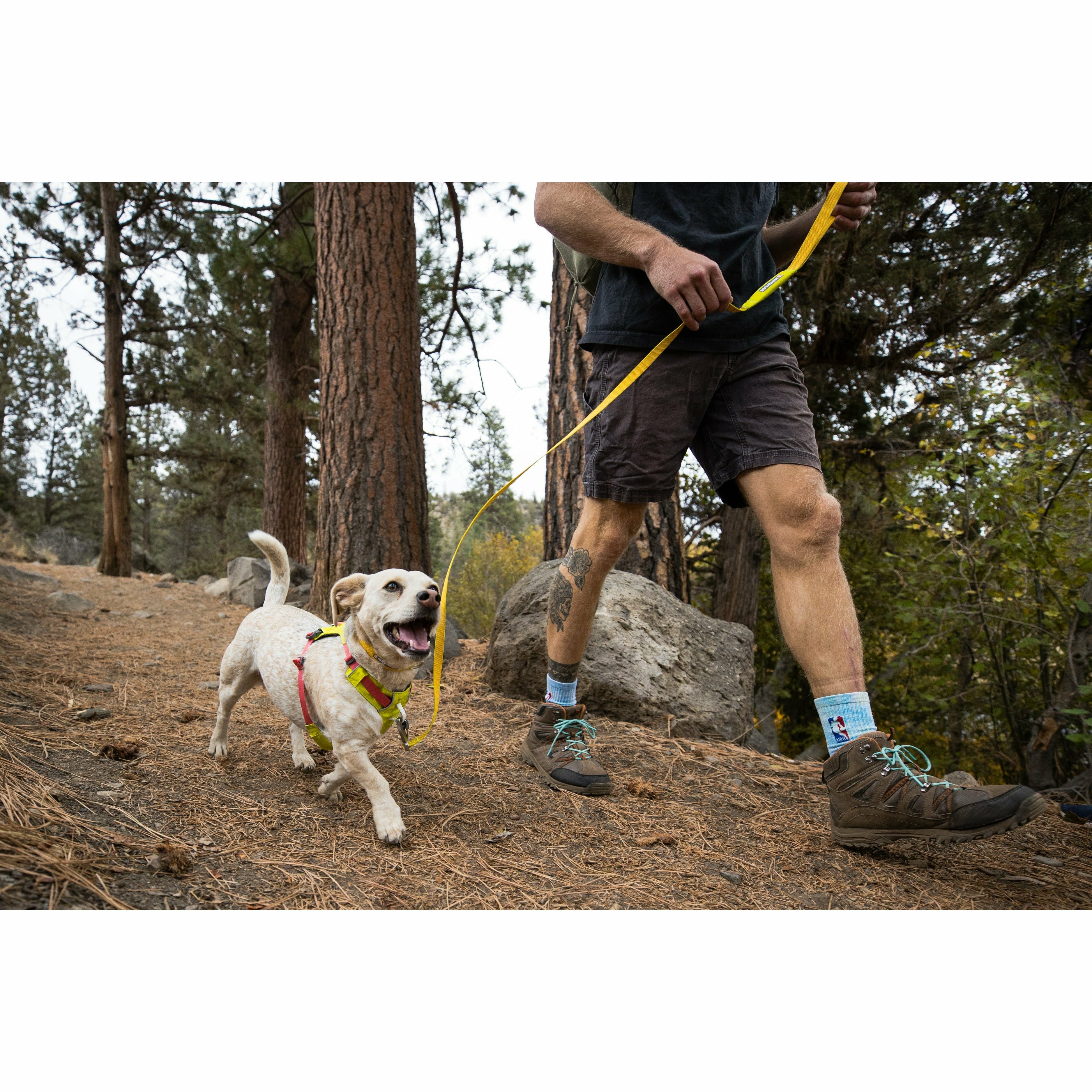 Ruffwear Hi Light Harness