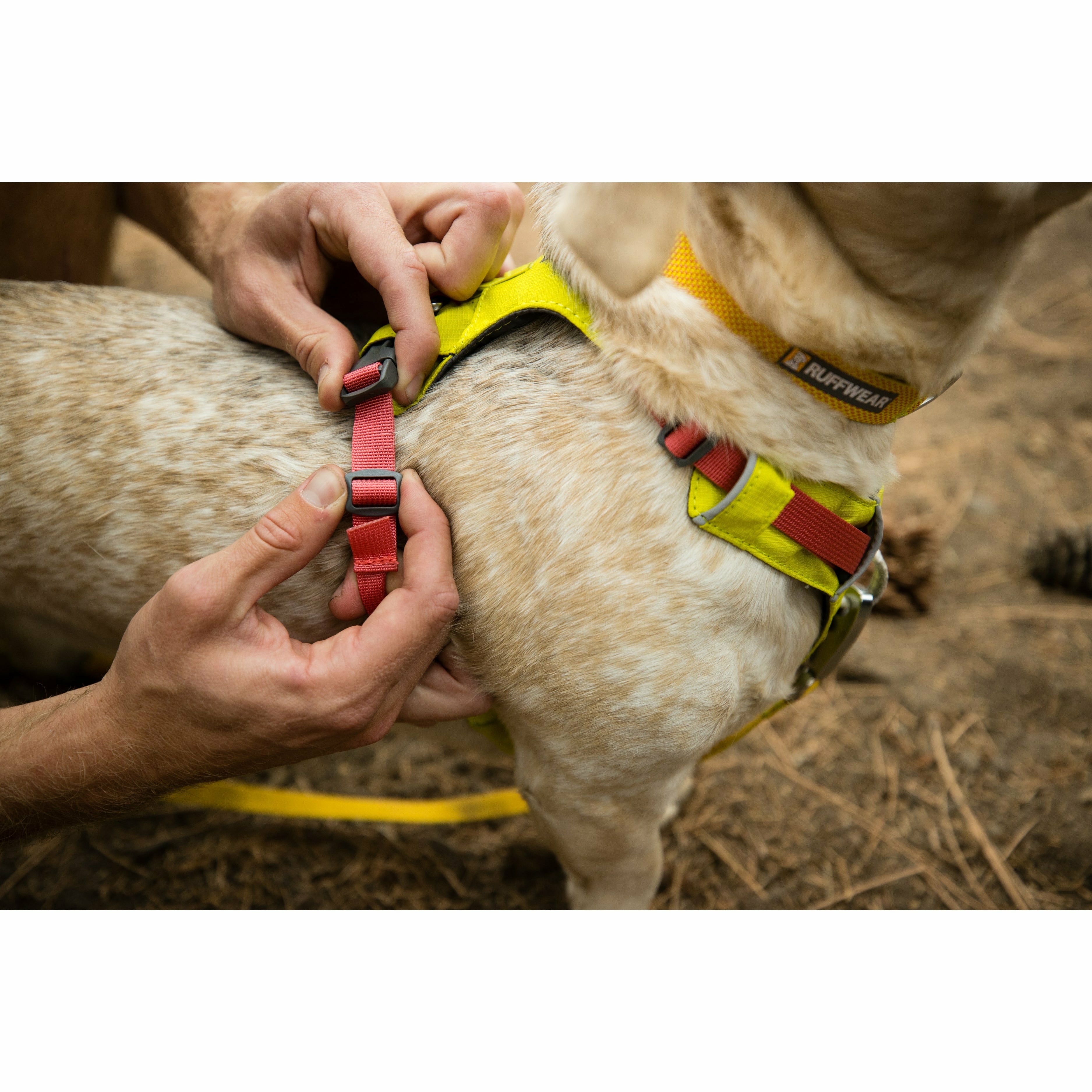 Ruffwear Hi Light Harness