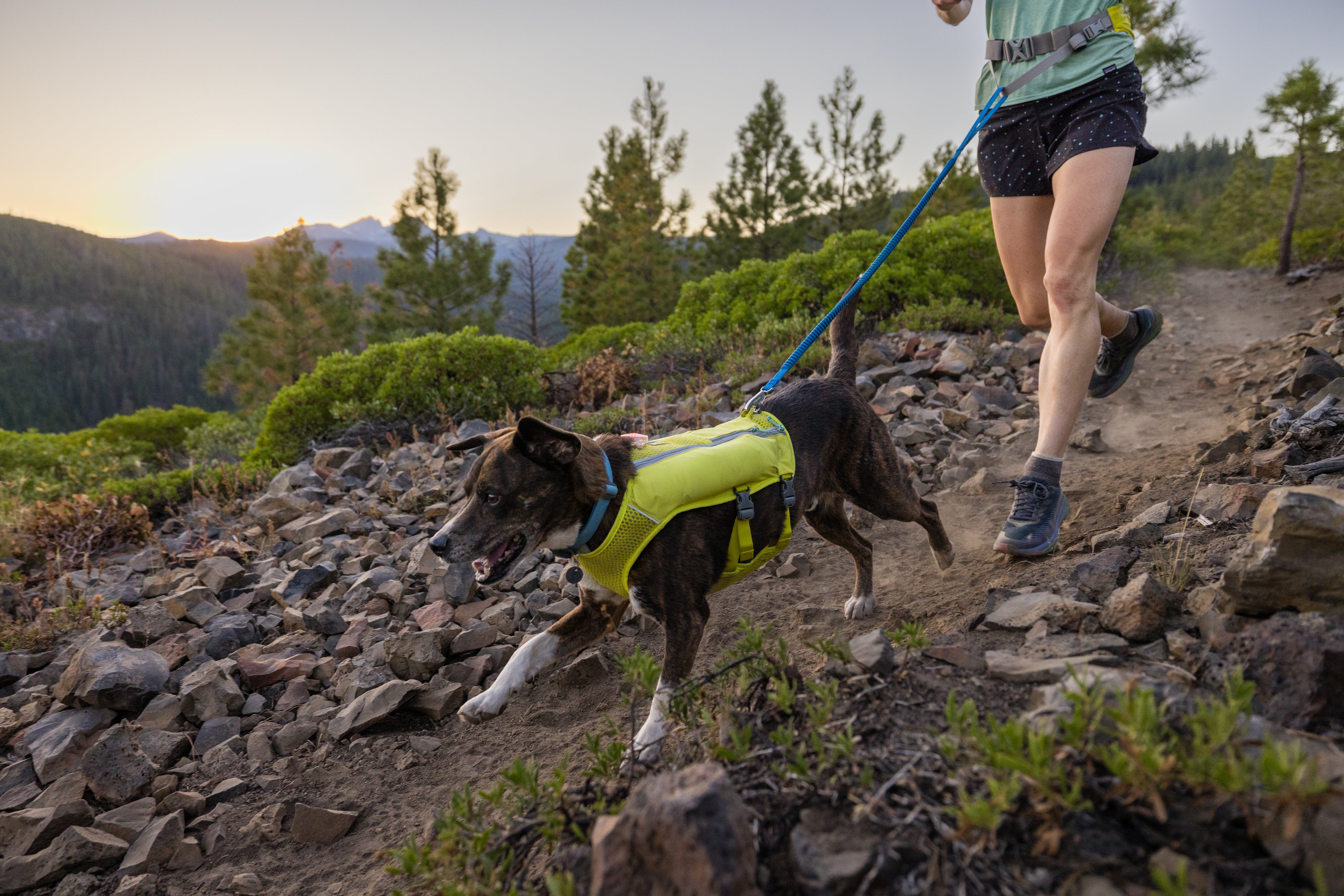 Trail Runner™ Dog Running Vest