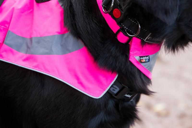 Rukka Pets - Flip Safety Scarf Pink - Rukka - PurrfectlyYappy 