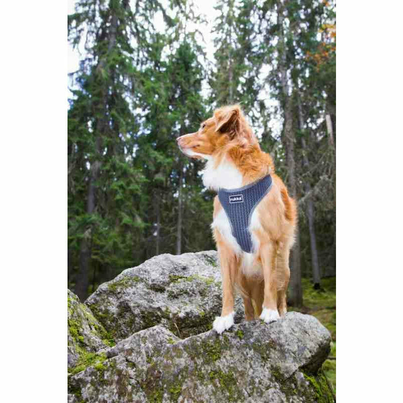 Rukka Comfort Air Dog Harness Graphite - PurrfectlyYappy - PurrfectlyYappy 